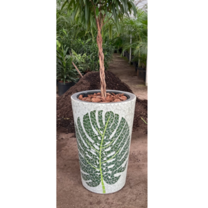 B-cone Plantation Delicious Monster Mosaic Pot